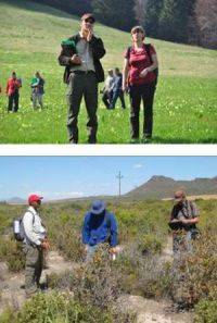 Tournée terrain à Sinaia (Roumanie) et cartographie des habitats en Afrique du Sud, dans le cadre du projet EBON